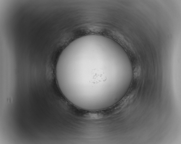 X0000101440464200807211216