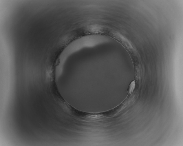 X0000101440465200807211216