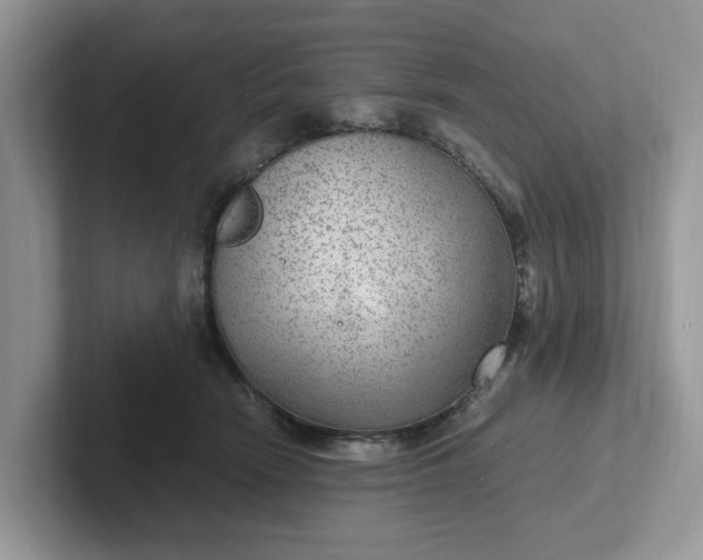 X0000101440466200807211216