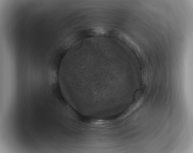 X0000101440467200807211216