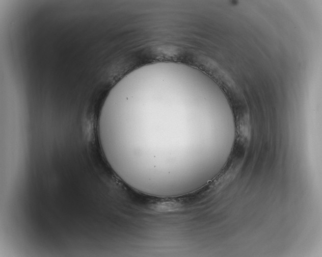 X0000101440468200807211216