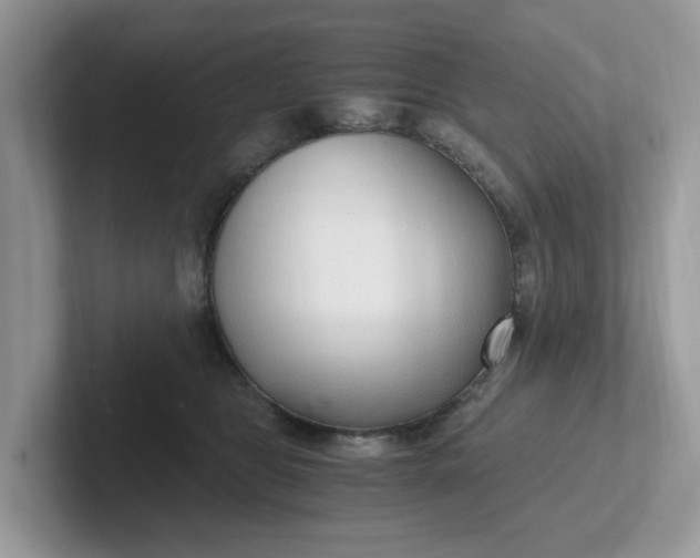 X0000101440469200807211216