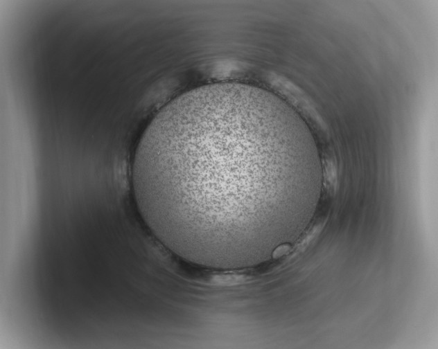 X0000101440470200807211216