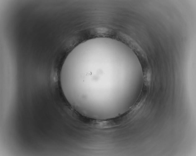 X0000101440472200807211216