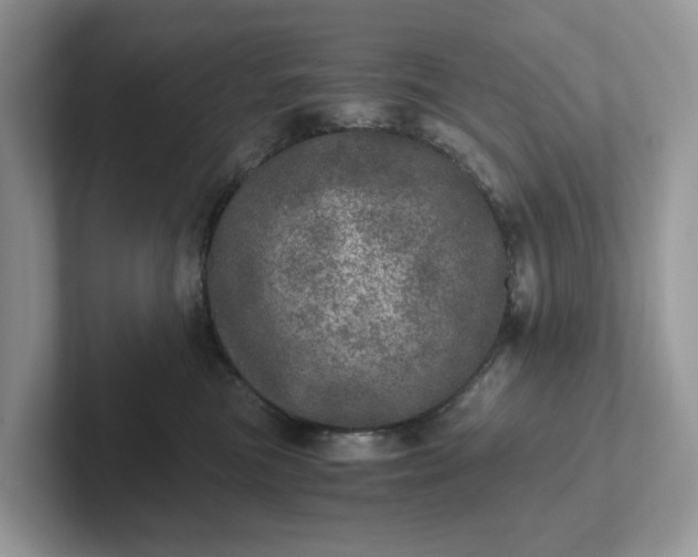 X0000101440473200807211216