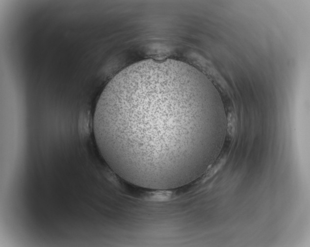 X0000101440474200807211216