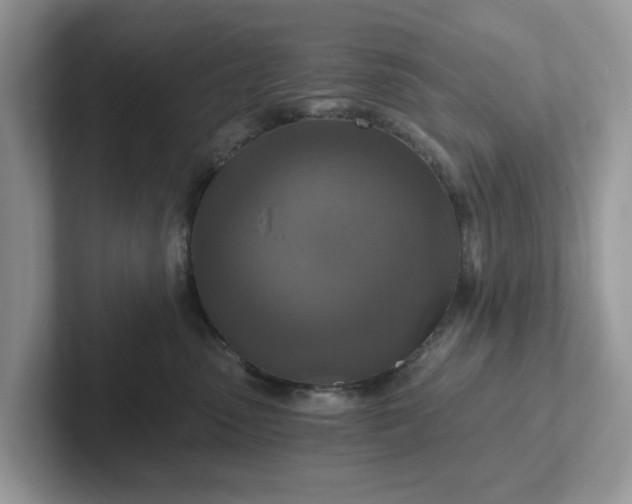 X0000101440475200807211216