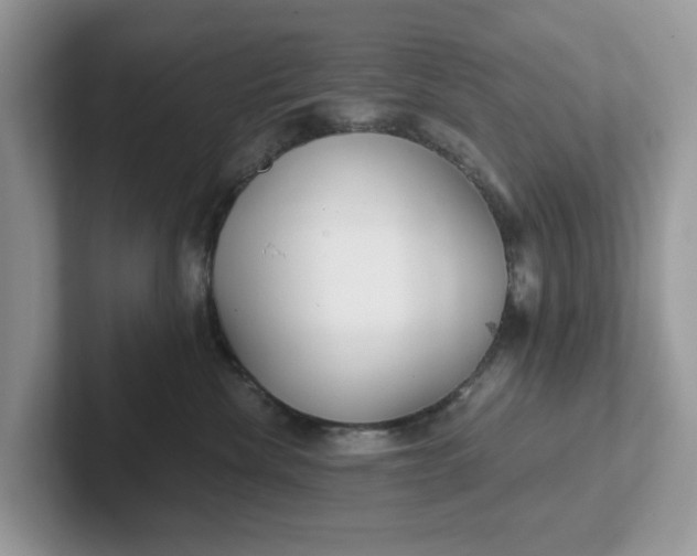 X0000101440476200807211216