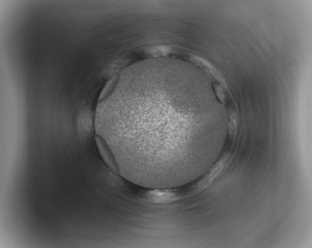 X0000101440477200807211216