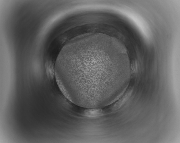 X0000101440479200807211216