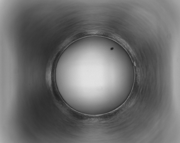 X0000101440482200807211215