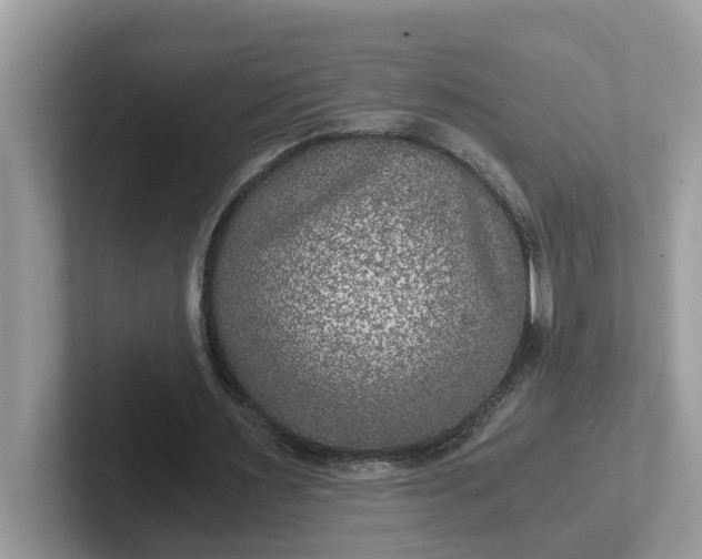 X0000101440483200807211215