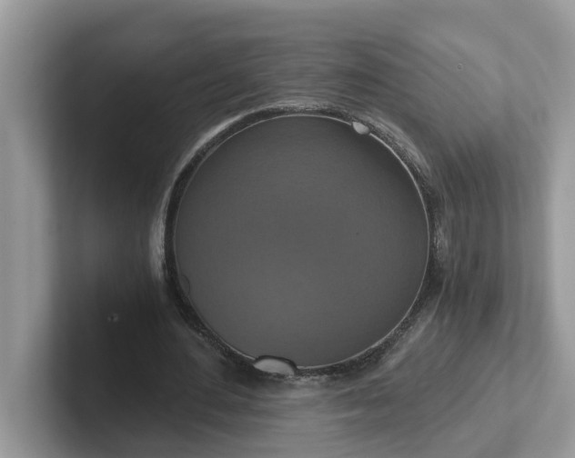 X0000101440484200807211215