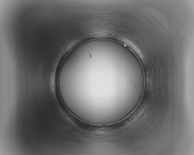 X0000101440485200807211215