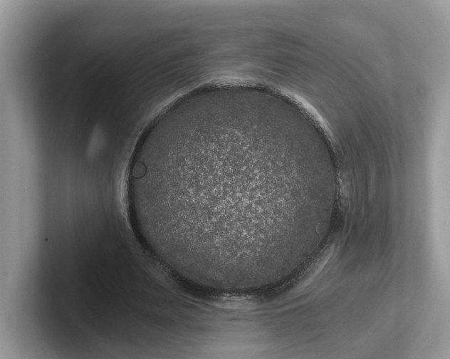 X0000101440487200807211215