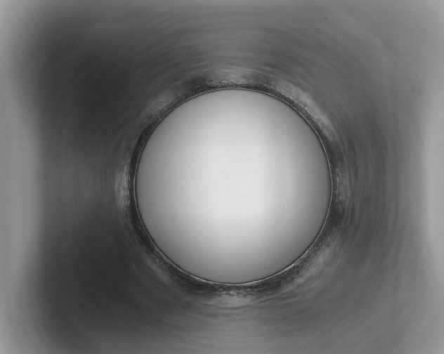 X0000101440489200807211215