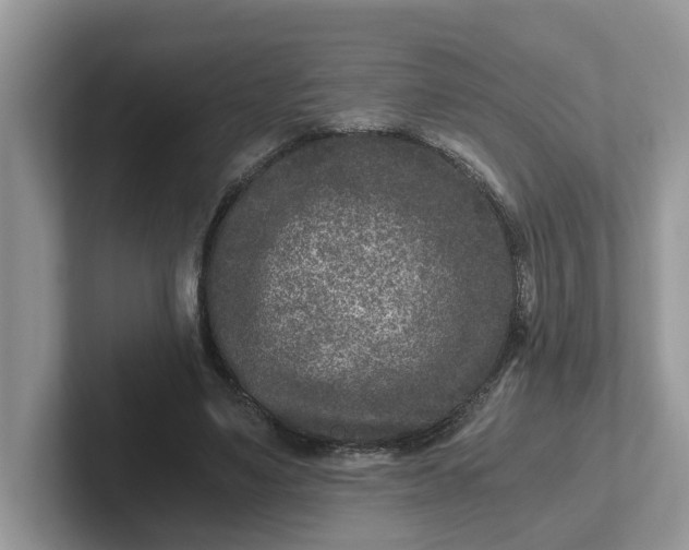 X0000101440491200807211215