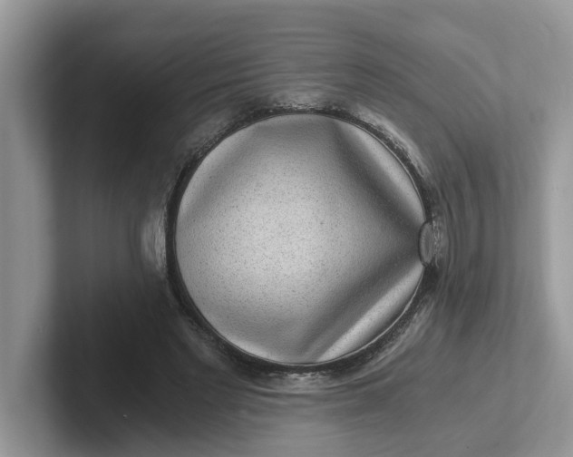 X0000101440493200807211215