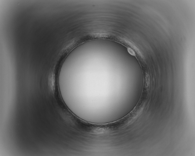 X0000101440494200807211215