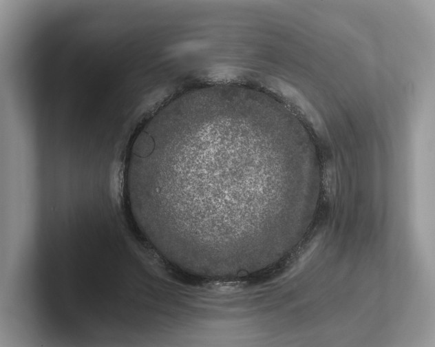 X0000101440495200807211215