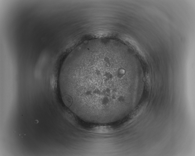 X0000101440499200807211215