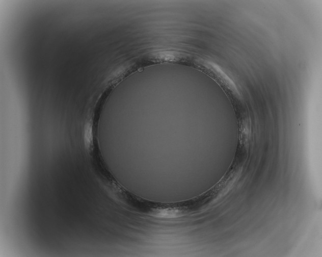 X0000101440500200807211215