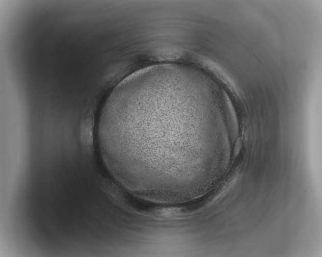 X0000101440501200807211215