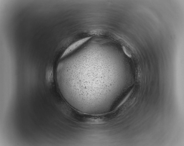 X0000101440502200807211215