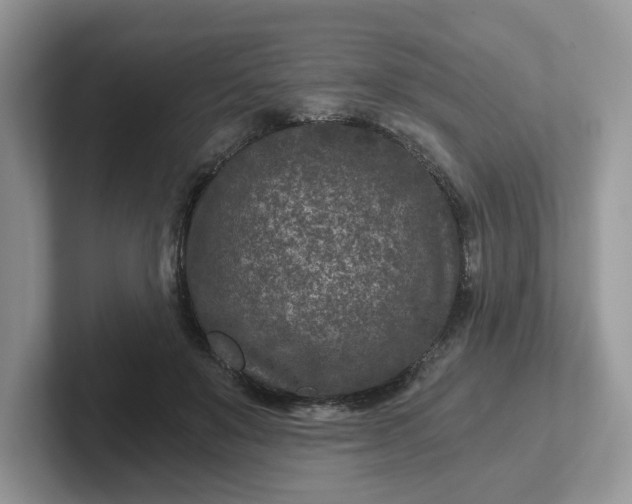 X0000101440503200807211215