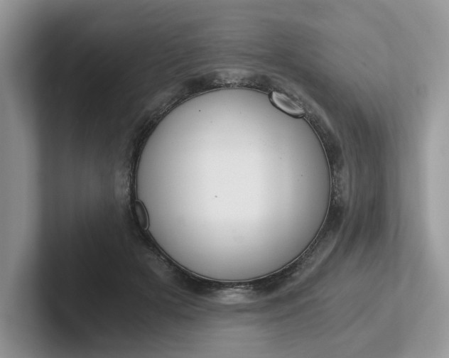 X0000101440505200807211215