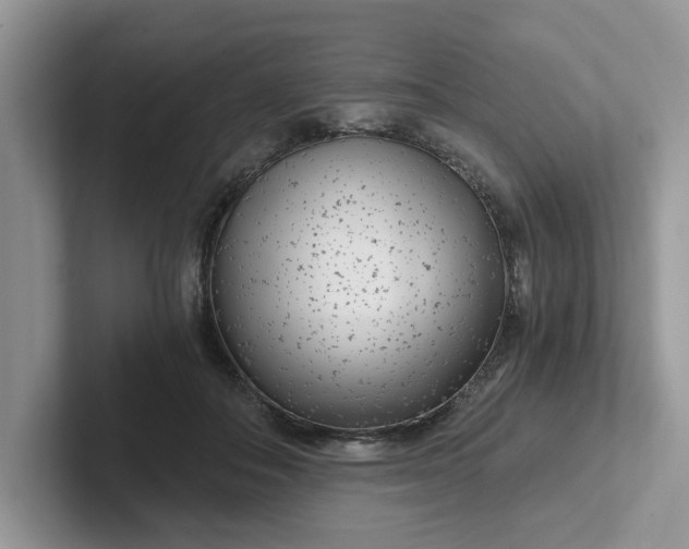 X0000101440506200807211215