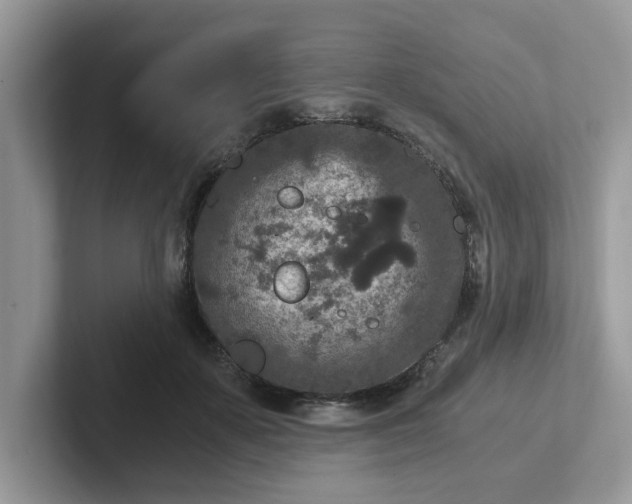 X0000101440507200807211215