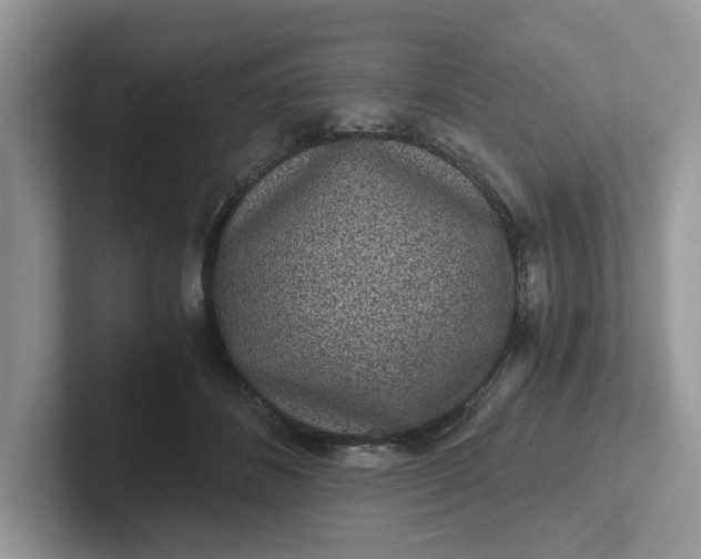 X0000101440508200807211215