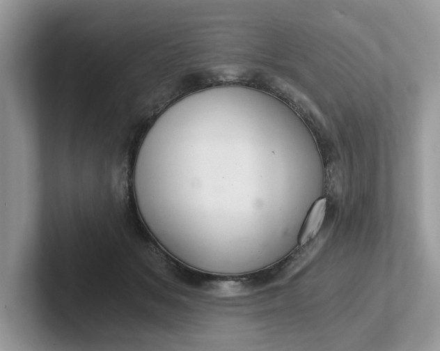 X0000101440509200807211215