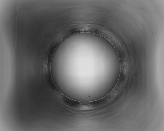 X0000101440510200807211215