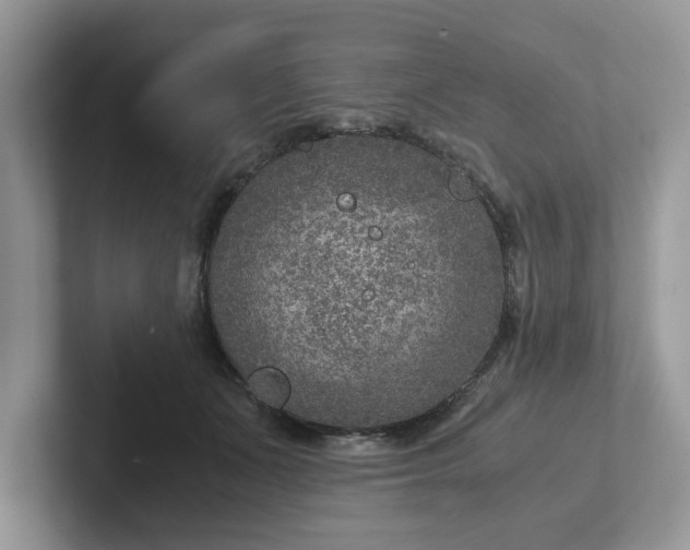 X0000101440511200807211215