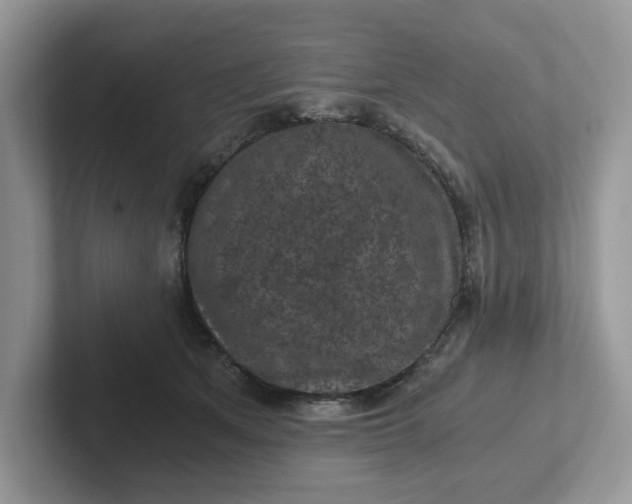 X0000101440513200807211215