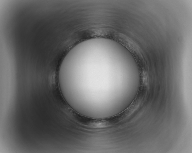 X0000101440514200807211215