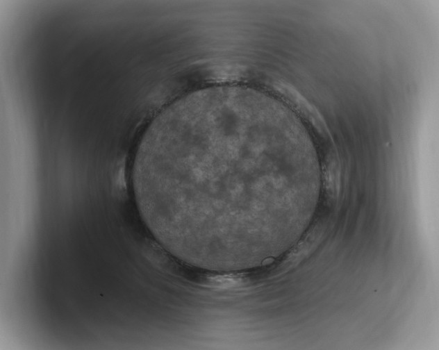 X0000101440516200807211215