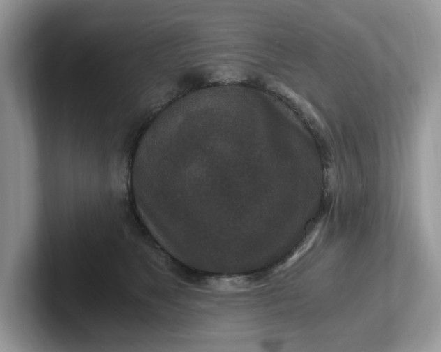 X0000101440517200807211215