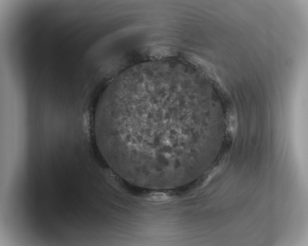 X0000101440519200807211215