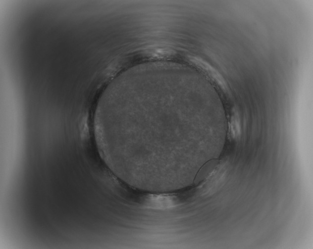 X0000101440520200807211215