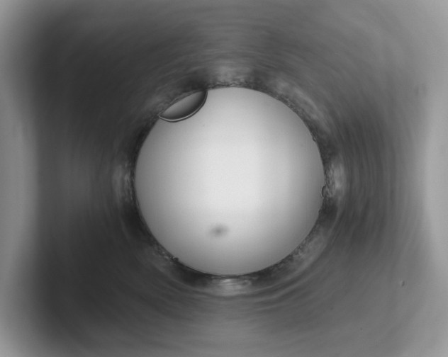 X0000101440522200807211215