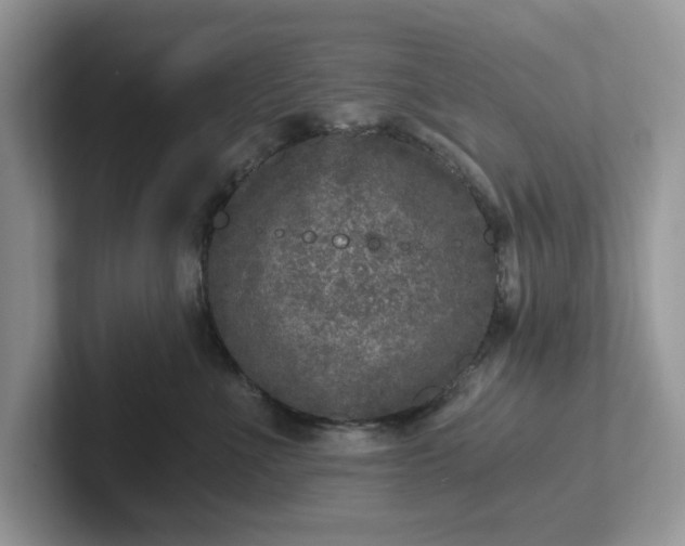 X0000101440523200807211215