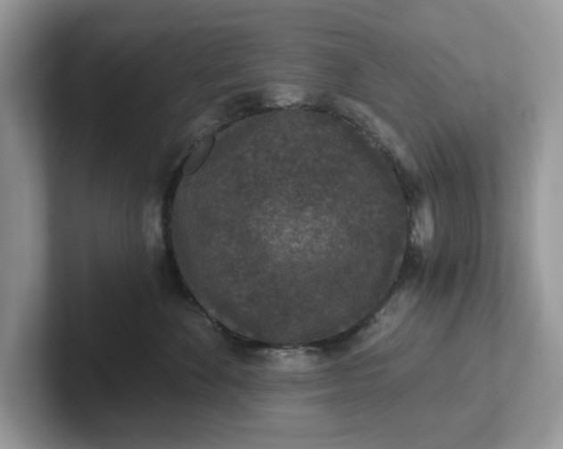 X0000101440524200807211215