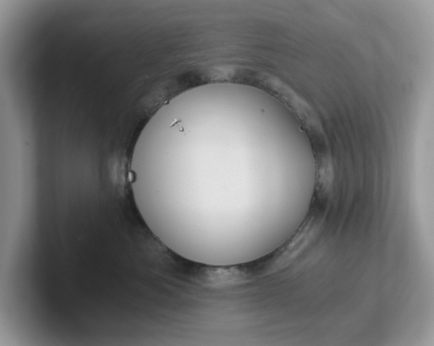 X0000101440525200807211215