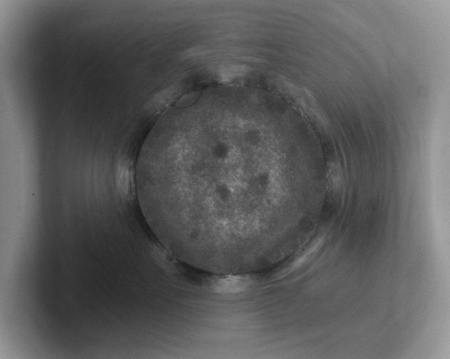 X0000101440527200807211215