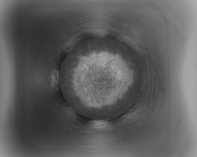 X0000101440528200807211215