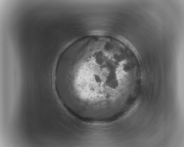 X0000101440529200807211214