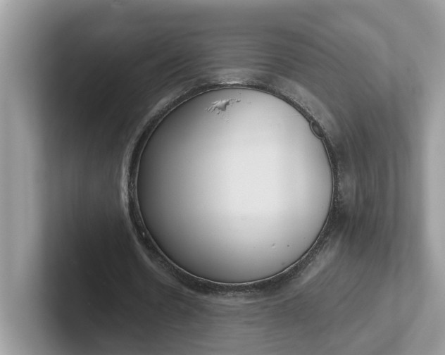 X0000101440530200807211214